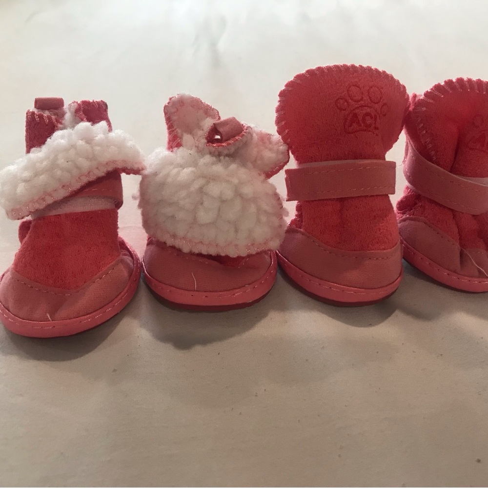 ACL snow shoes (5)